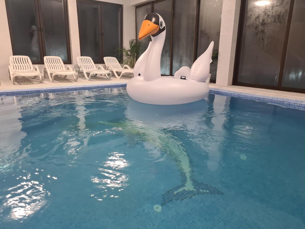 Guest house Pensiunea Gold Wellness&spa Chiscau