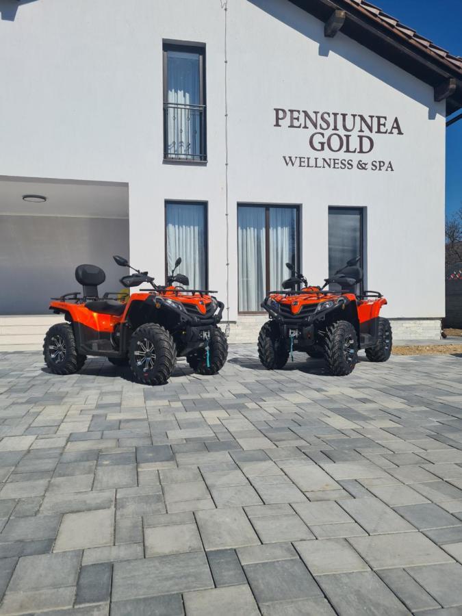 Pensiunea Gold Wellness&spa Chiscau