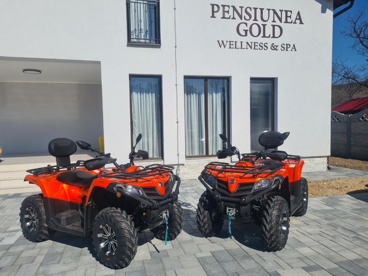Pensiunea Gold Wellness&spa Guest house Chiscau